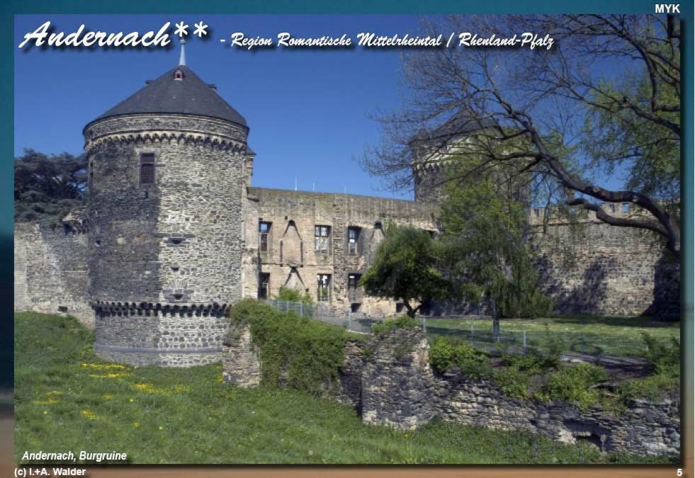 Ferienwohnung " Gecko 2 " Andernach Bagian luar foto